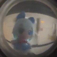 C2F9D1033FFE3BE78592B727477AA670.gif